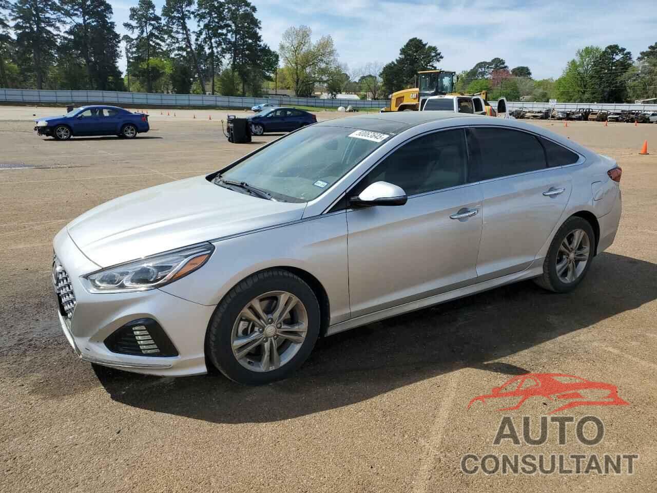 HYUNDAI SONATA 2019 - 5NPE34AF4KH762826