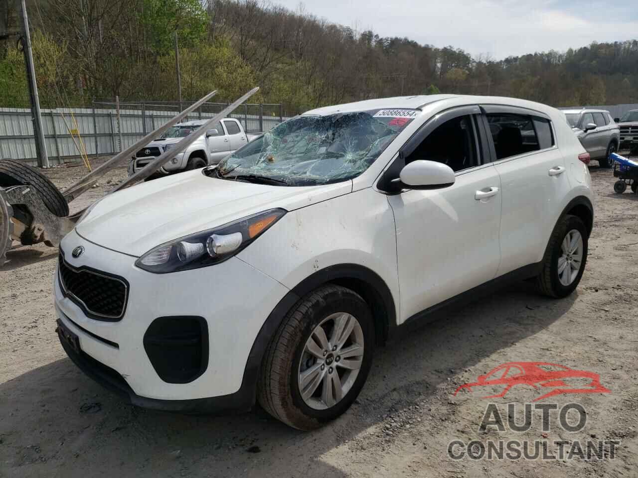 KIA SPORTAGE 2019 - KNDPM3AC4K7563947