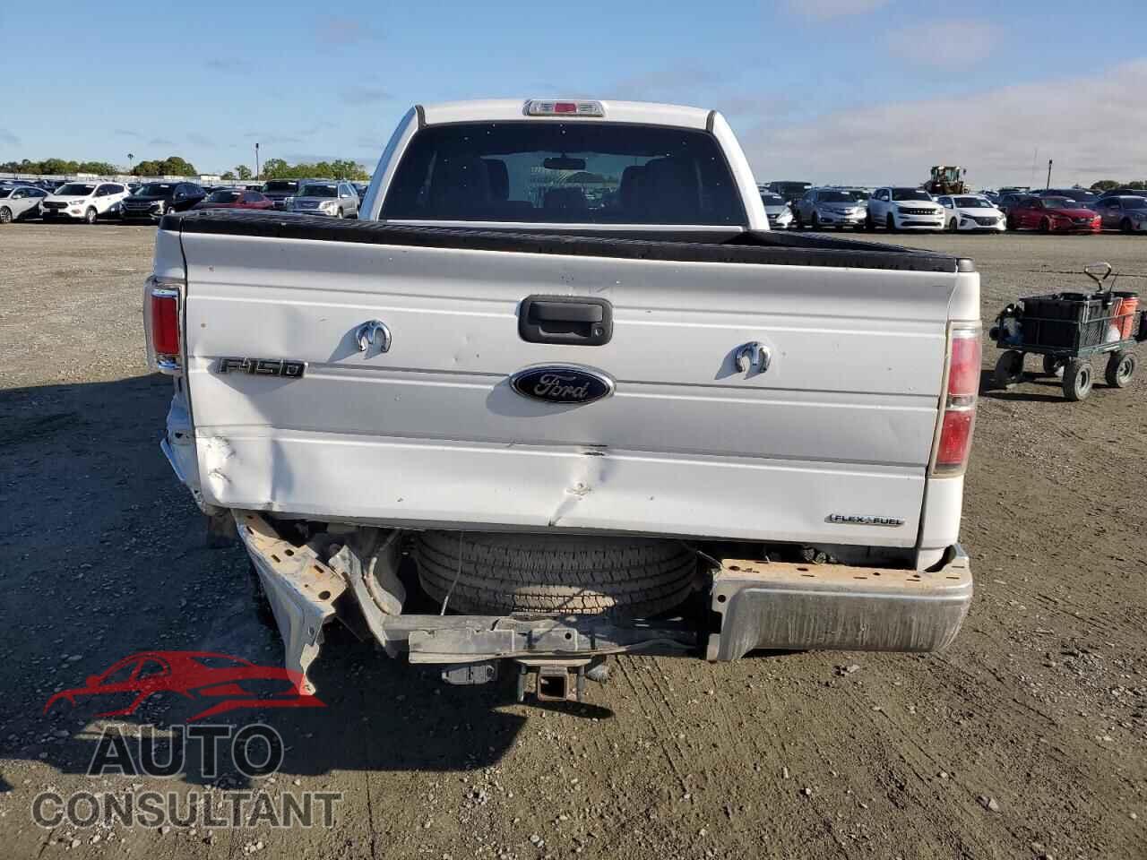 FORD F-150 2013 - 1FTFX1EF2DFC43336