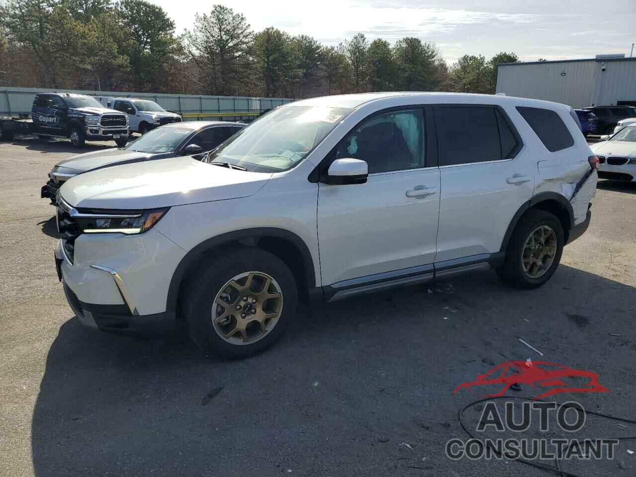 HONDA PILOT 2024 - 5FNYG1H58RB003599