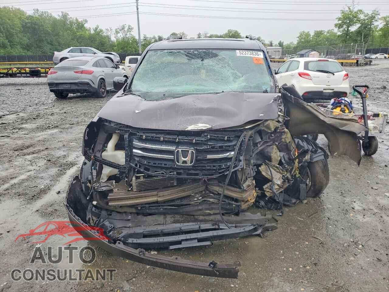 HONDA PILOT 2014 - 5FNYF4H98EB034126