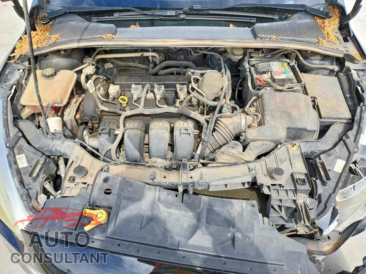 FORD FOCUS 2016 - 1FADP3F24GL220165