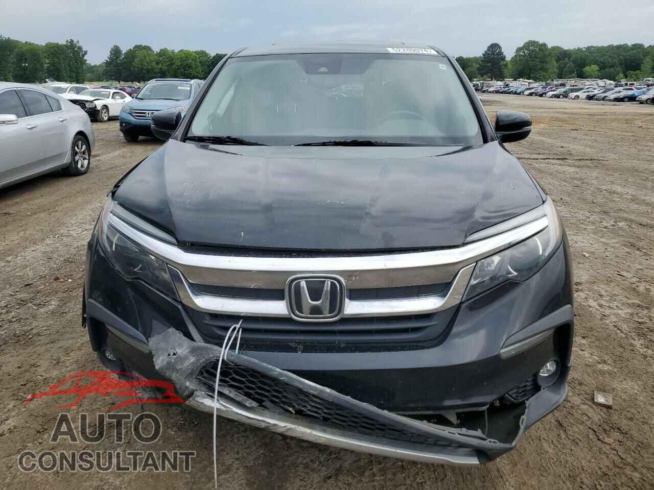 HONDA PILOT 2019 - 5FNYF5H5XKB020081