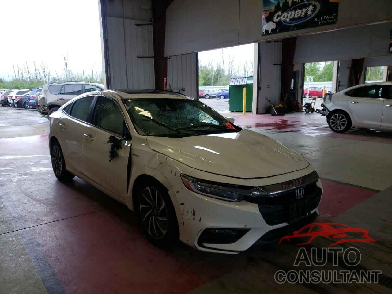 HONDA INSIGHT 2019 - 19XZE4F91KE008608