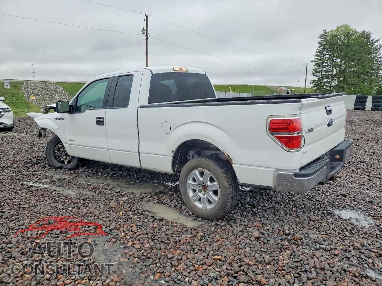 FORD F150 2013 - 1FTFX1CT5DFD02341