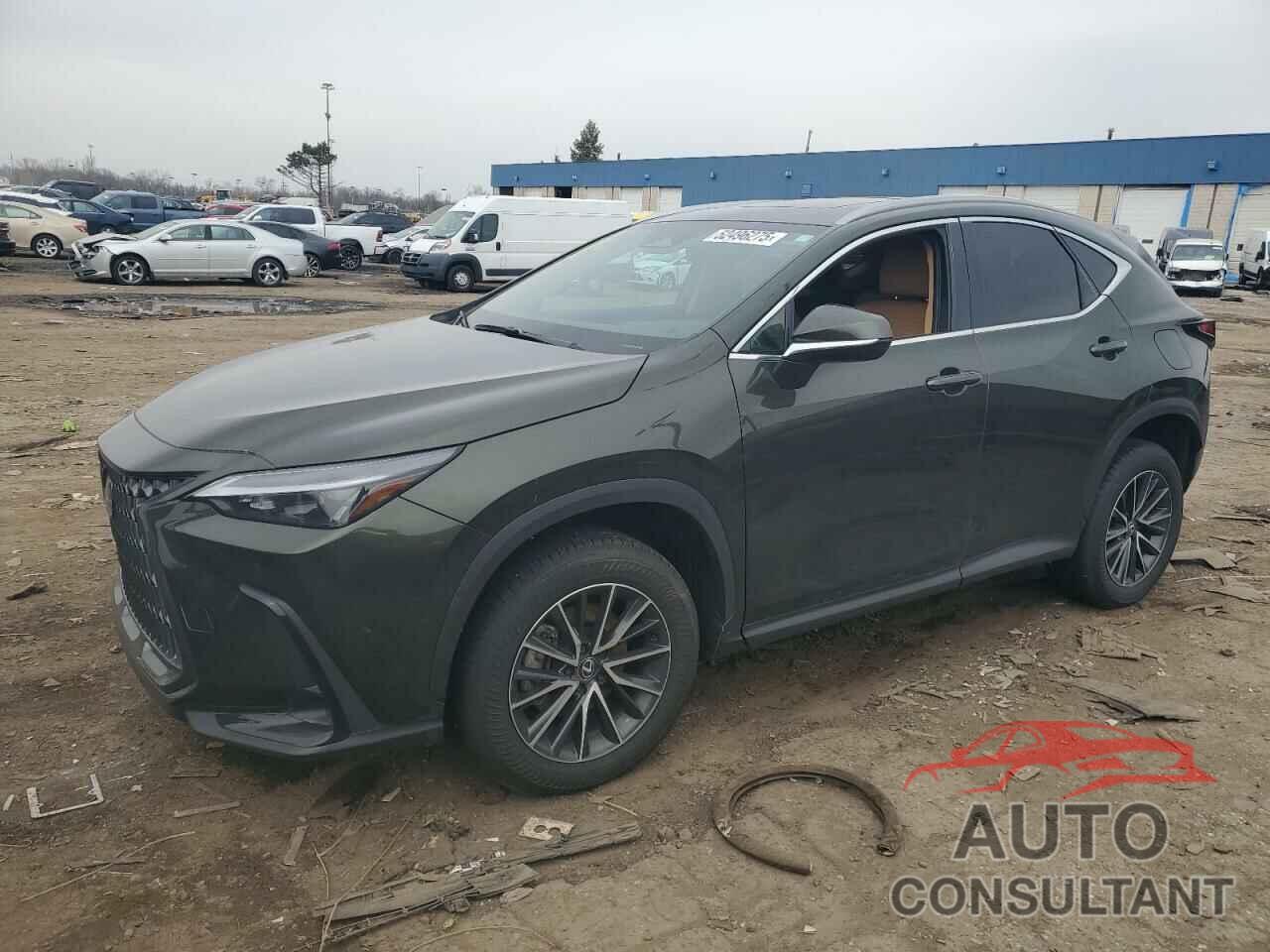 LEXUS NX 350 BAS 2025 - 2T2AGCEZ9SC064597