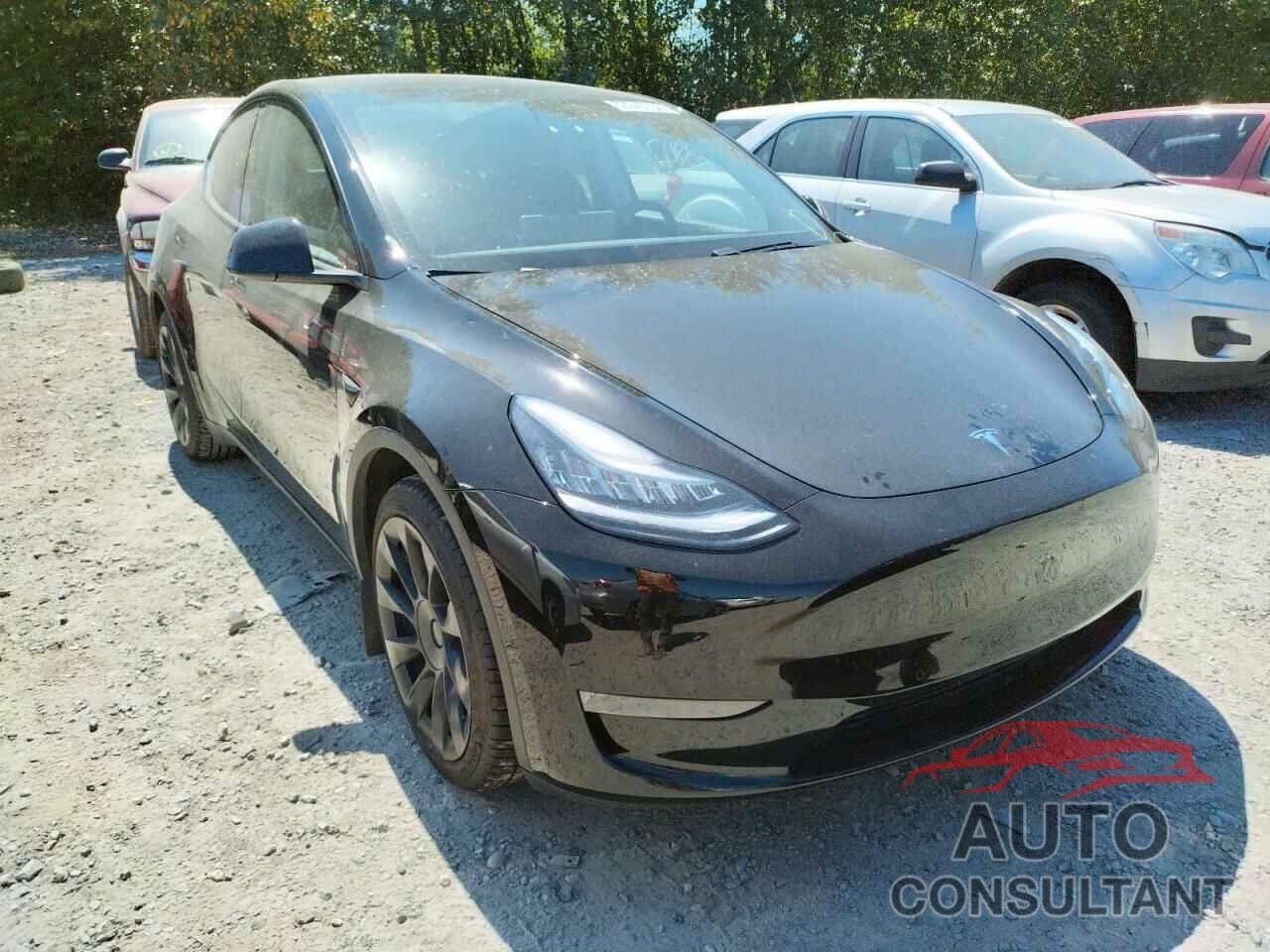 TESLA MODEL Y 2020 - 5YJYGDEE6LF059635