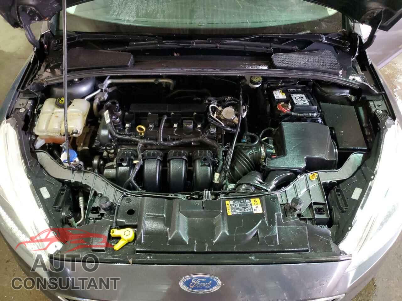 FORD FOCUS 2016 - 1FADP3F21GL368922