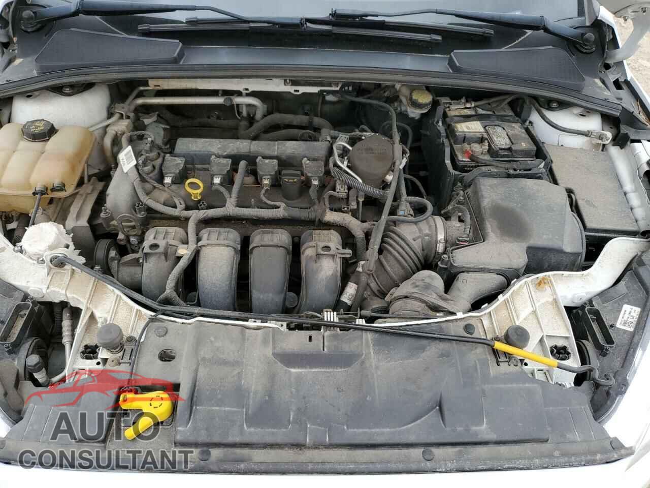 FORD FOCUS 2016 - 1FADP3E27GL202356
