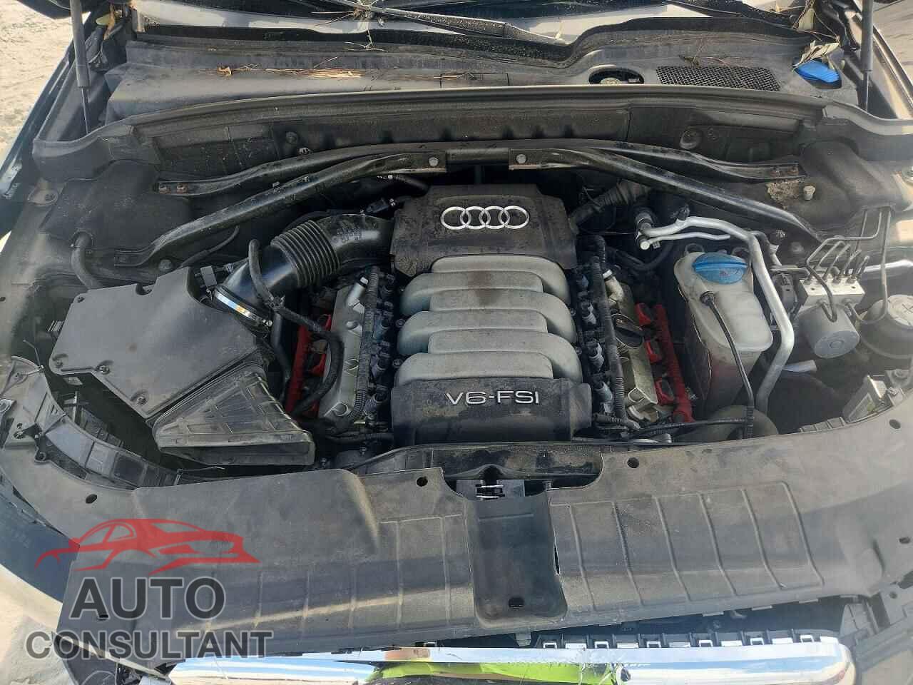 AUDI Q5 2010 - WA1LKAFP8AA016812