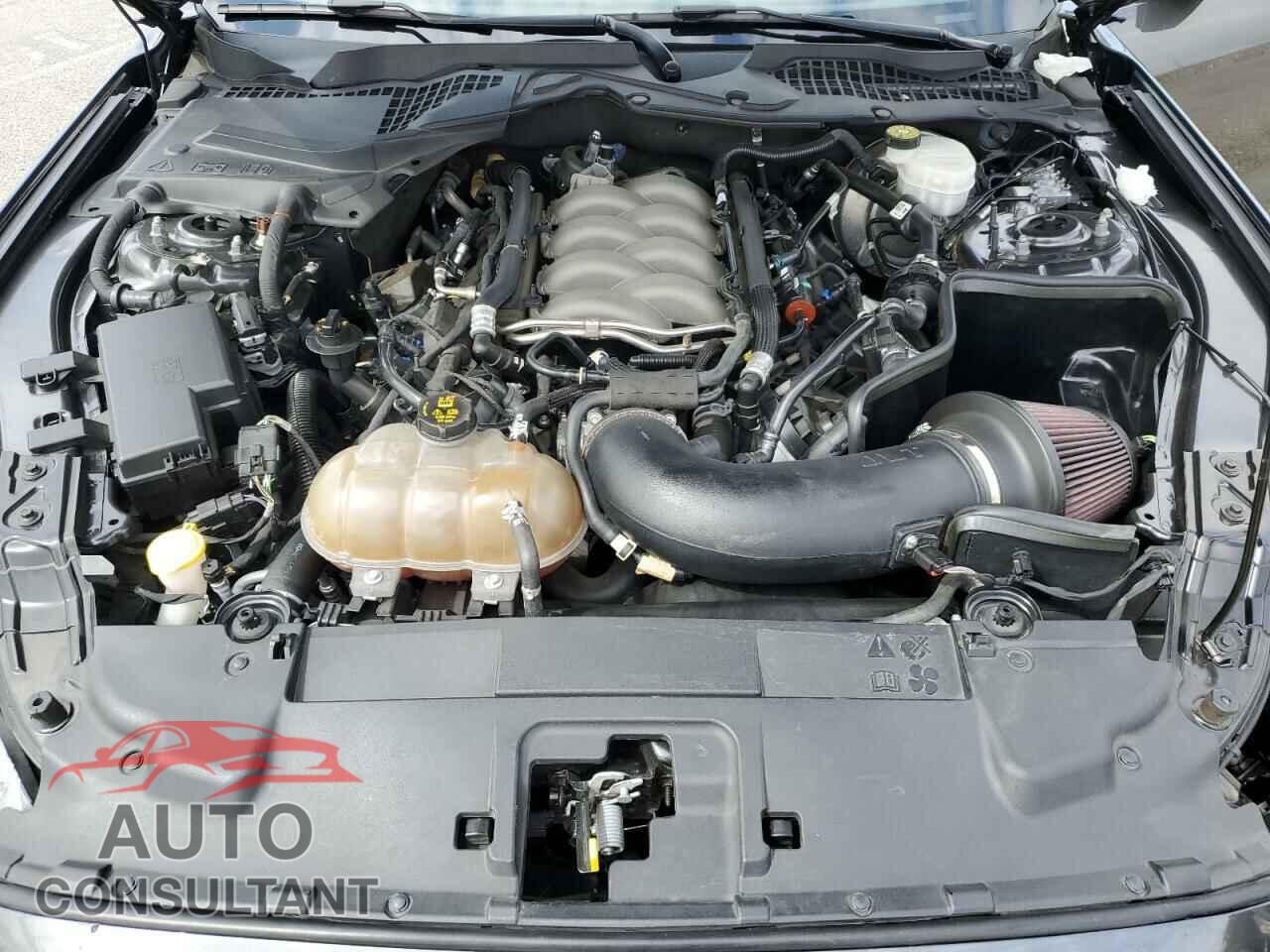 FORD MUSTANG 2019 - 1FA6P8CF3K5202007