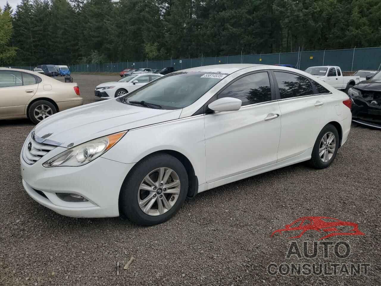 HYUNDAI SONATA 2013 - 5NPEB4AC1DH627203
