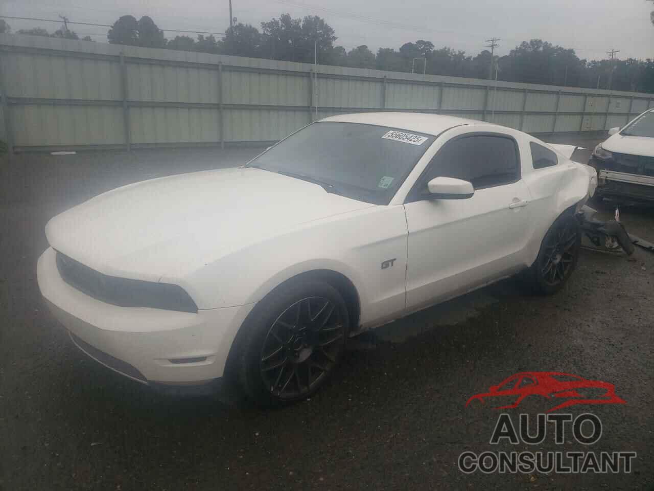 FORD MUSTANG 2010 - 1ZVBP8CH1A5168705