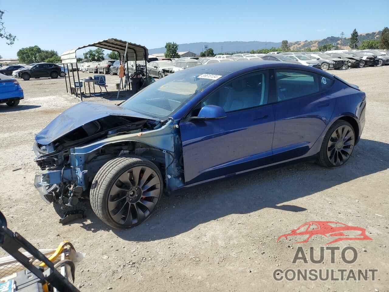 TESLA MODEL 3 2021 - 5YJ3E1EC3MF055783