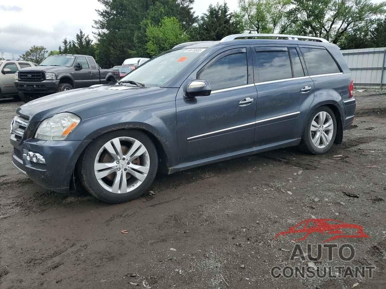 MERCEDES-BENZ GL-CLASS 2010 - 4JGBF2FE2AA538079