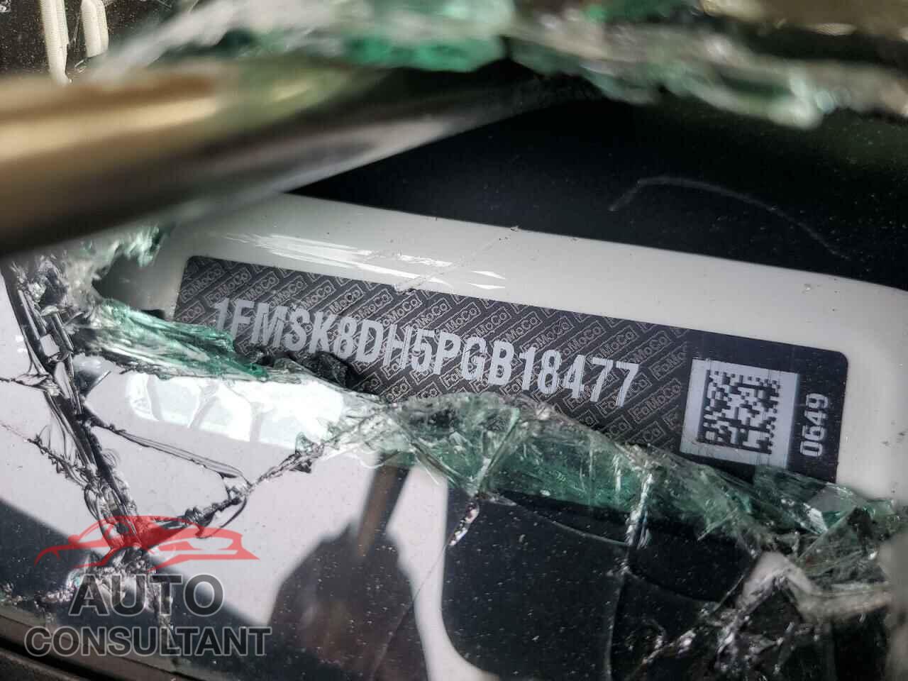 FORD EXPLORER 2023 - 1FMSK8DH5PGB18477