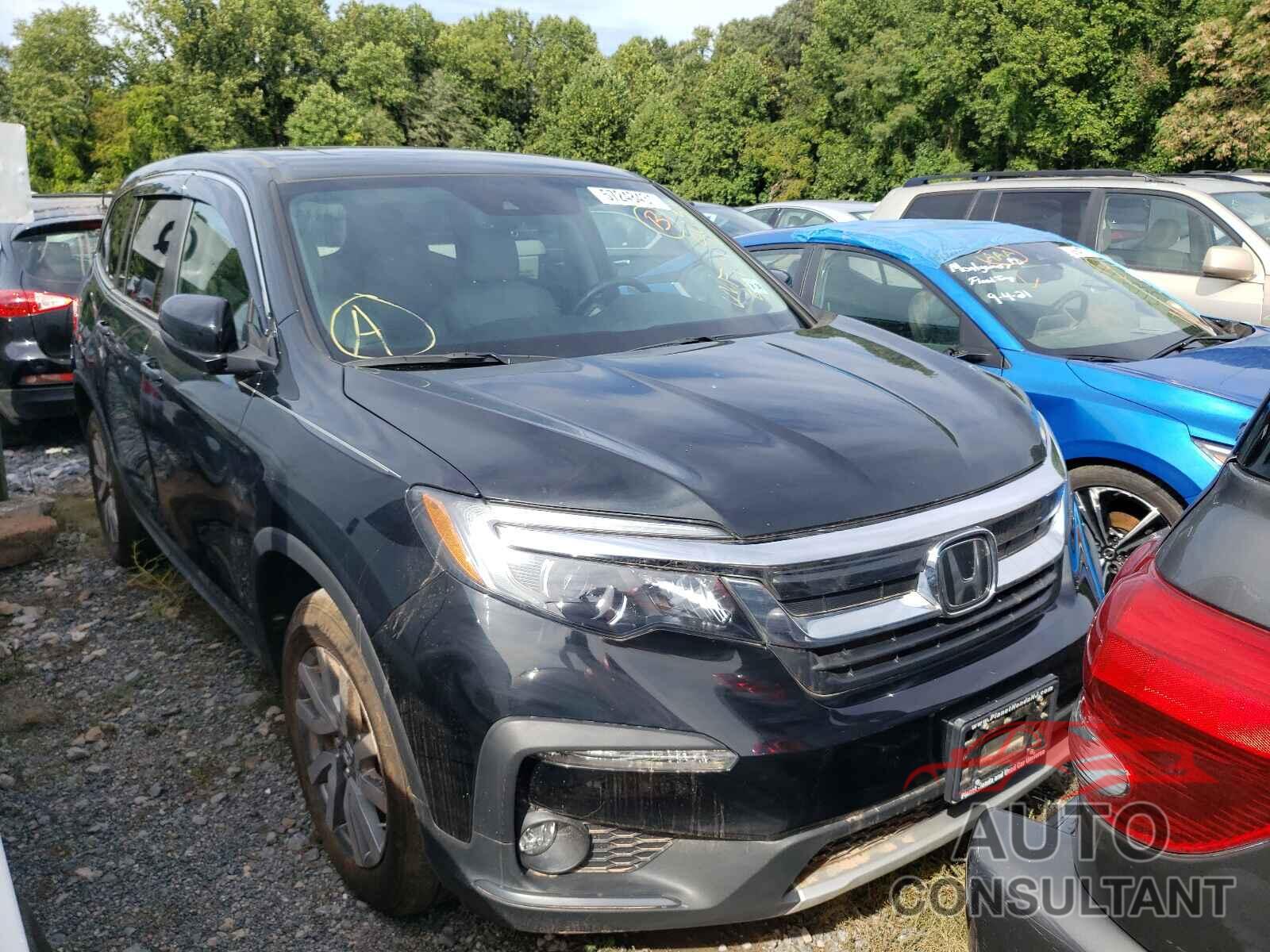 HONDA PILOT 2019 - 5FNYF6H59KB093061