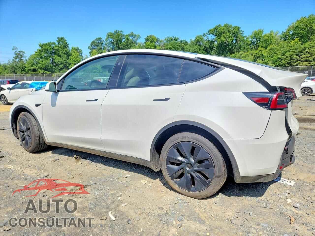 TESLA MODEL Y 2024 - 7SAYGAEE4RF131149
