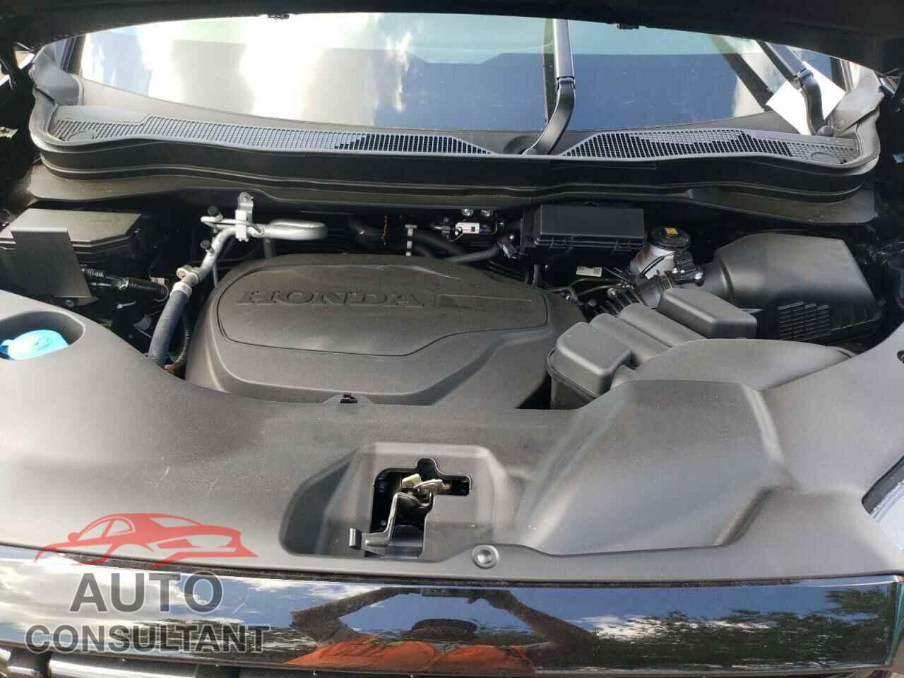HONDA RIDGELINE 2024 - 5FPYK3F12RB015345