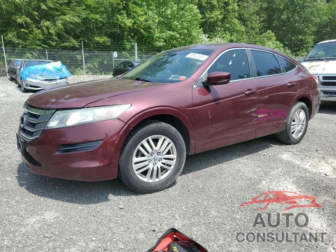 HONDA CROSSTOUR 2012 - 5J6TF3H39CL005772