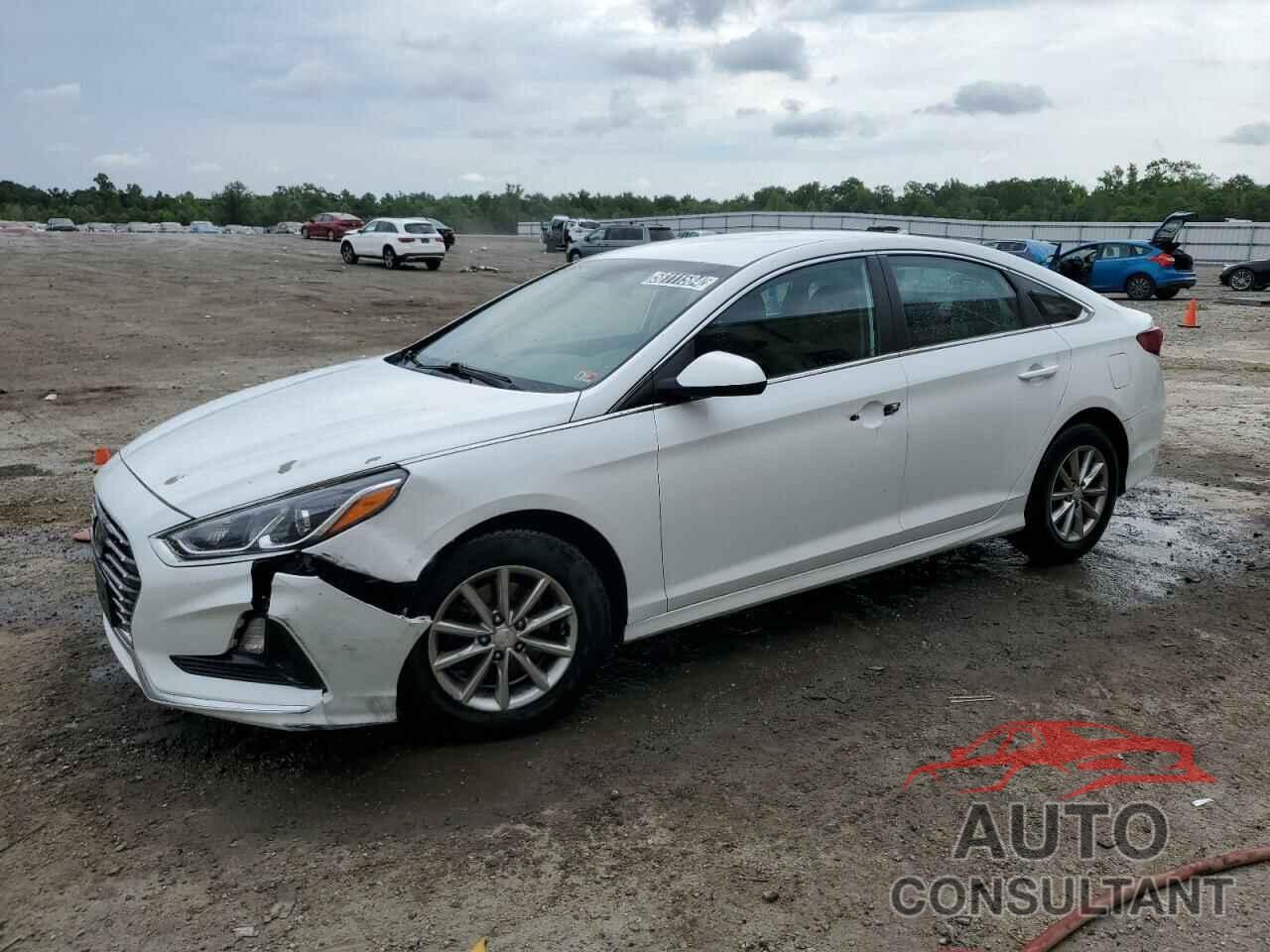 HYUNDAI SONATA 2019 - 5NPE24AF6KH796348