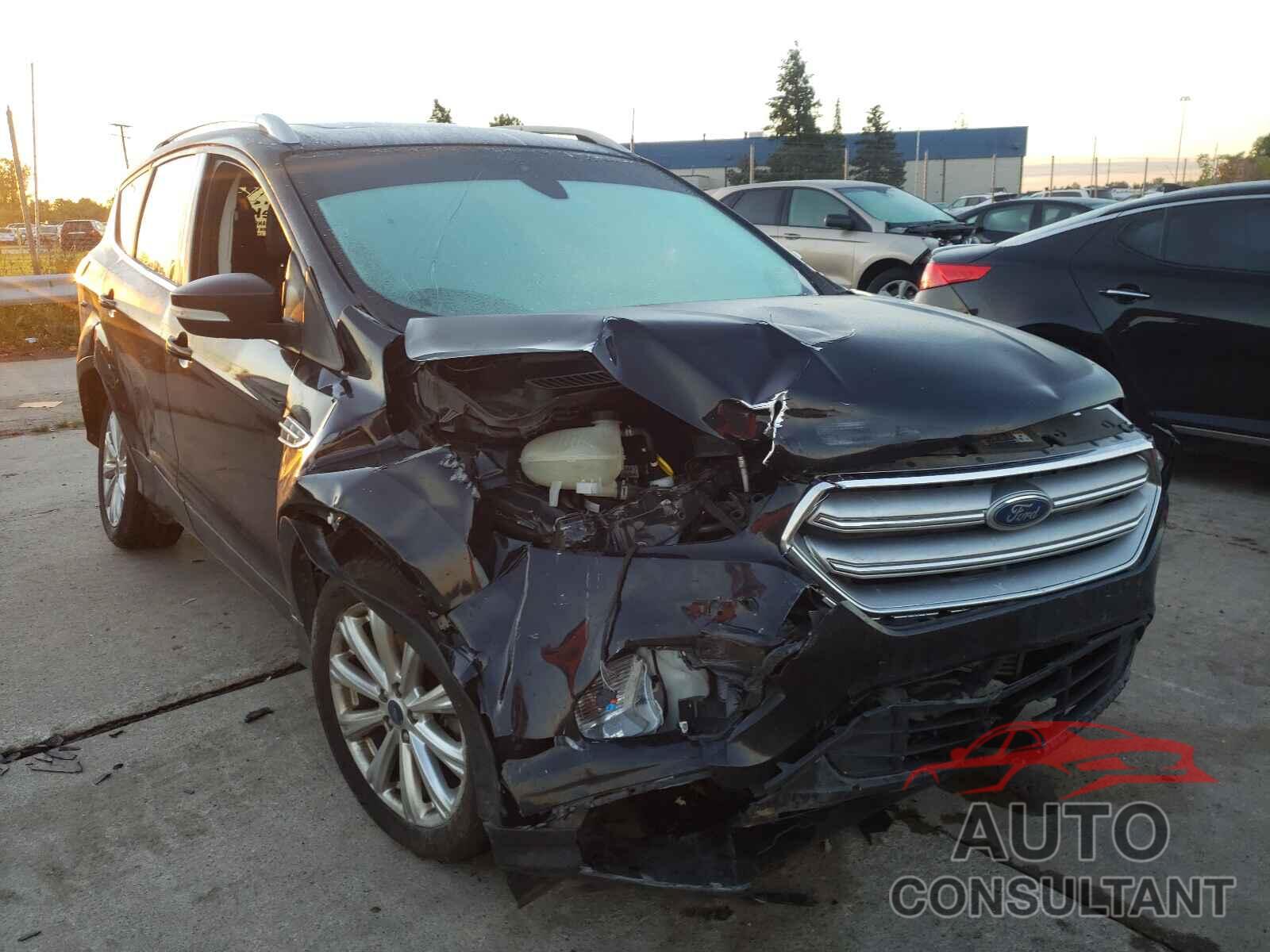 FORD ESCAPE 2017 - 1FMCU0J95HUD83125