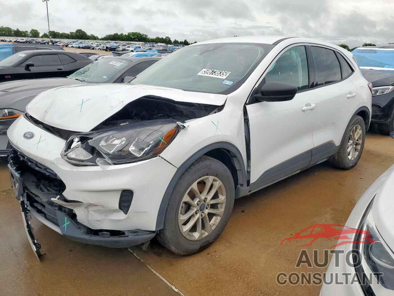FORD ESCAPE 2022 - 1FMCU0G69NUB01335