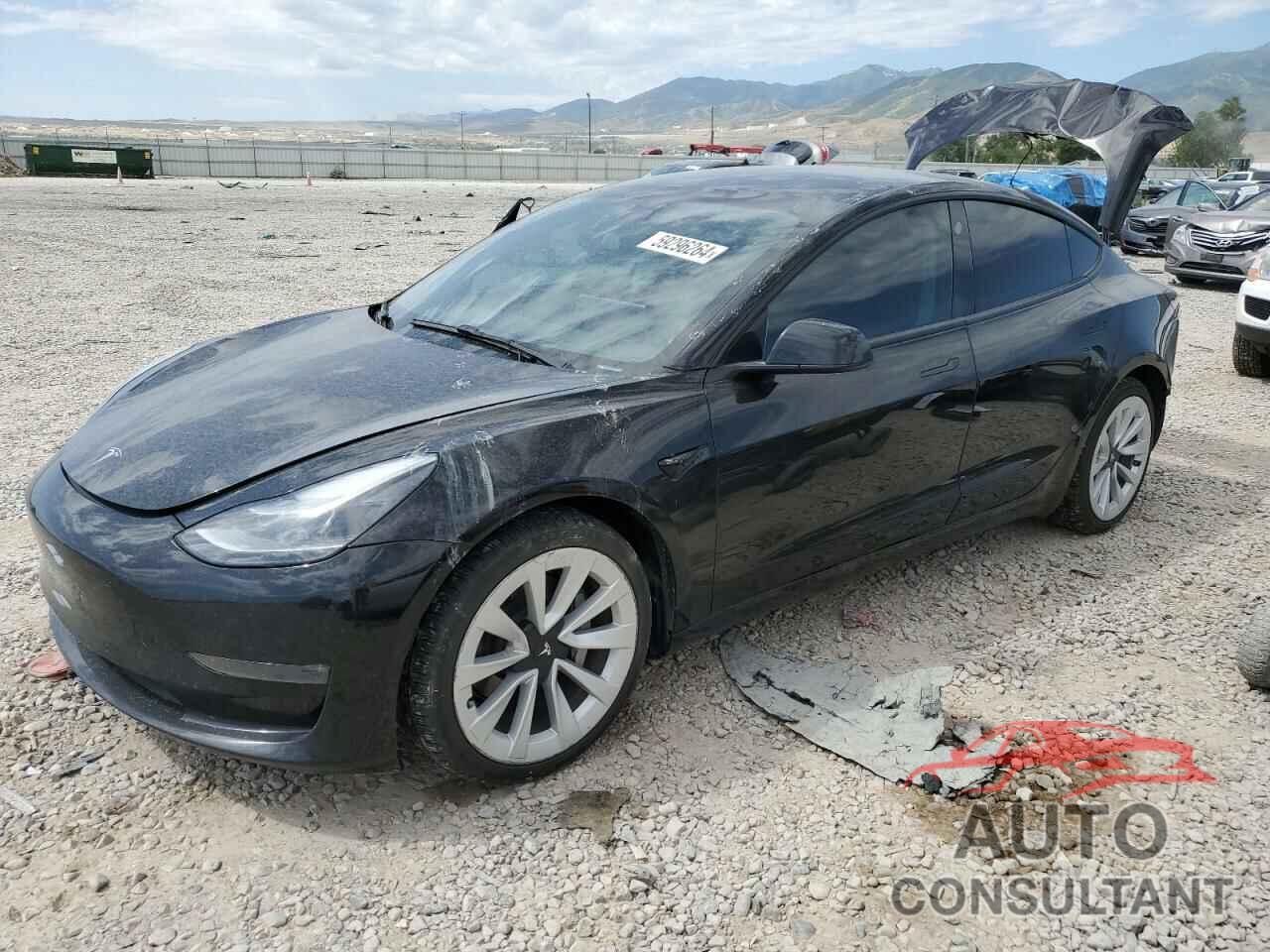 TESLA MODEL 3 2022 - 5YJ3E1EB5NF185993