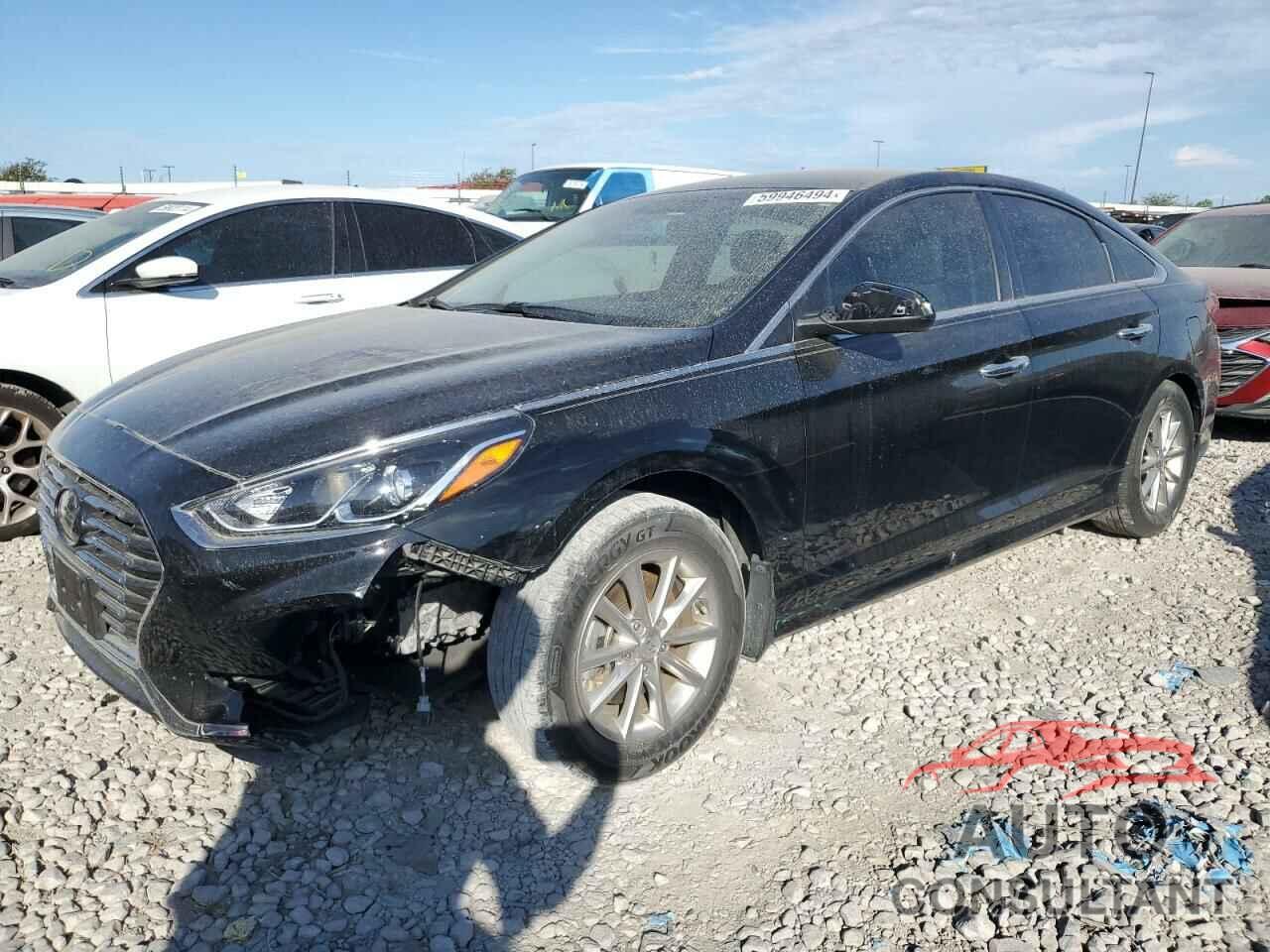 HYUNDAI SONATA 2019 - 5NPE24AF6KH730642