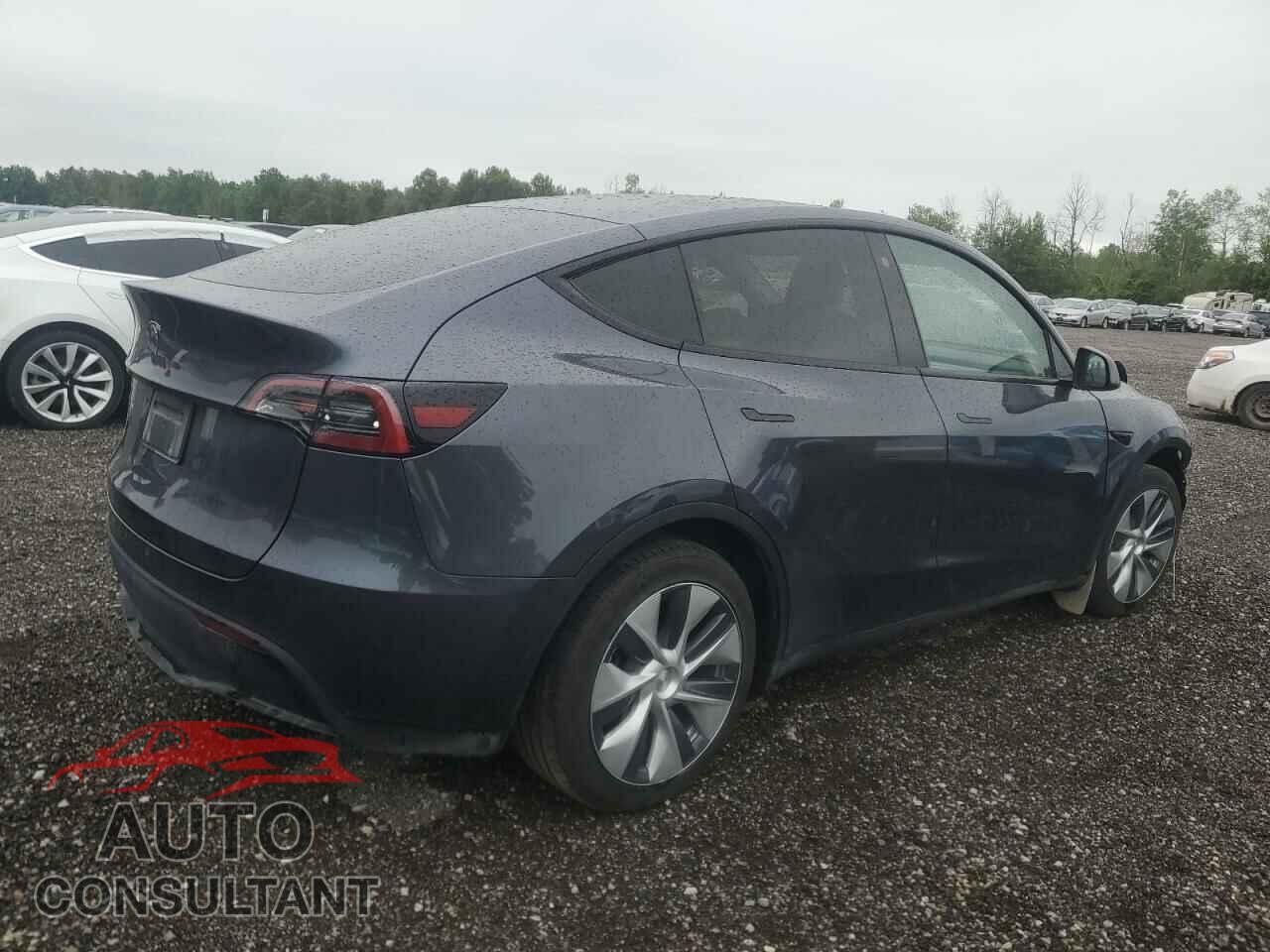 TESLA MODEL Y 2023 - LRWYGDFD2PC162377