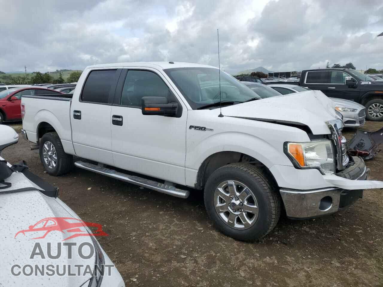 FORD F-150 2013 - 1FTFW1CF5DFD27219