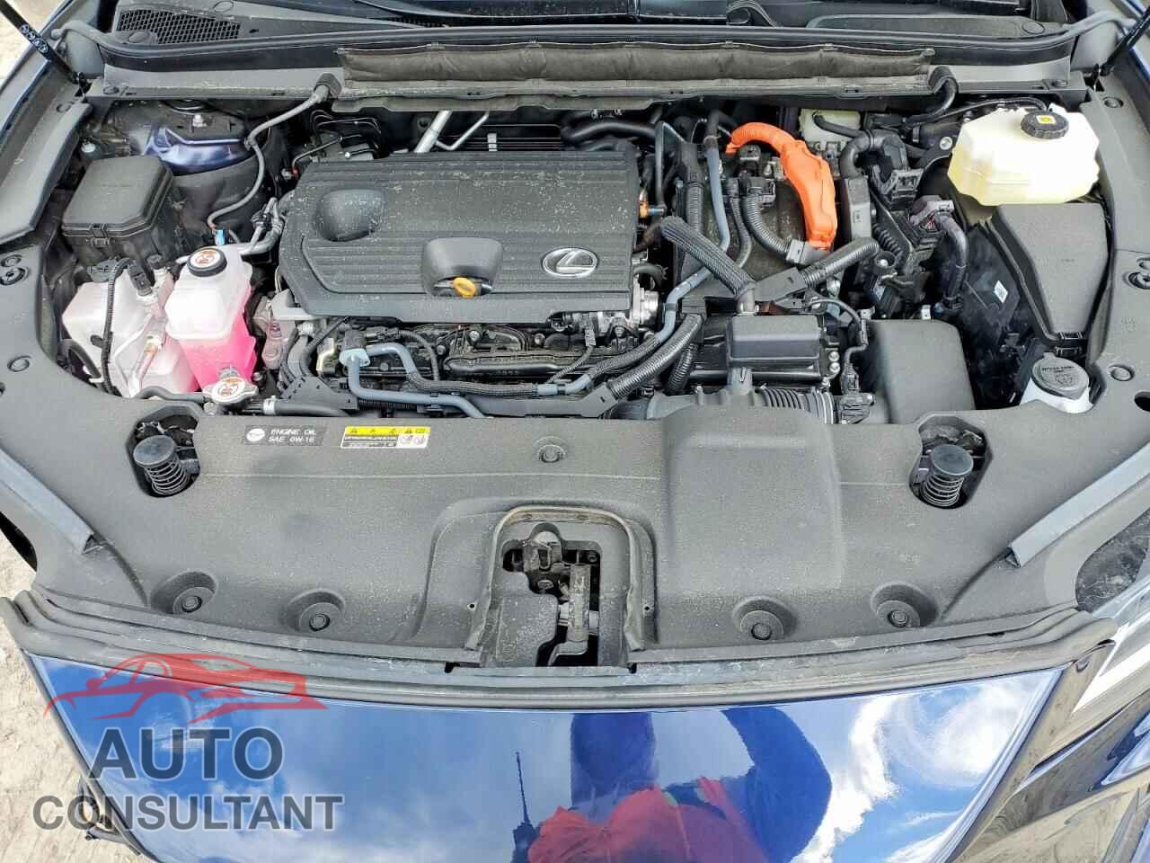 LEXUS UNKNOWN 2025 - 2T2BBMCA5SC089857