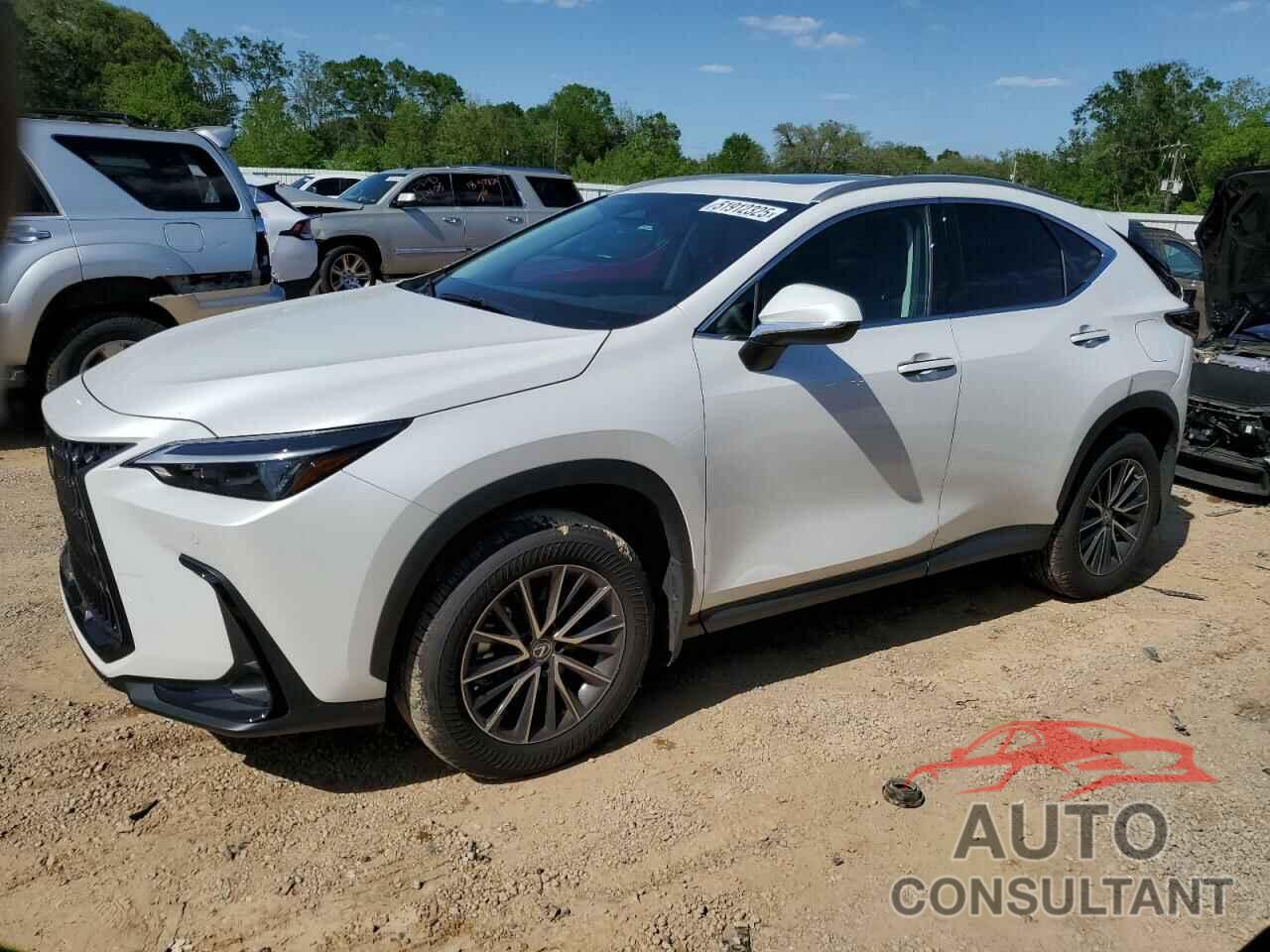 LEXUS NX 250 PRE 2025 - 2T2GDCAZ6SC016841
