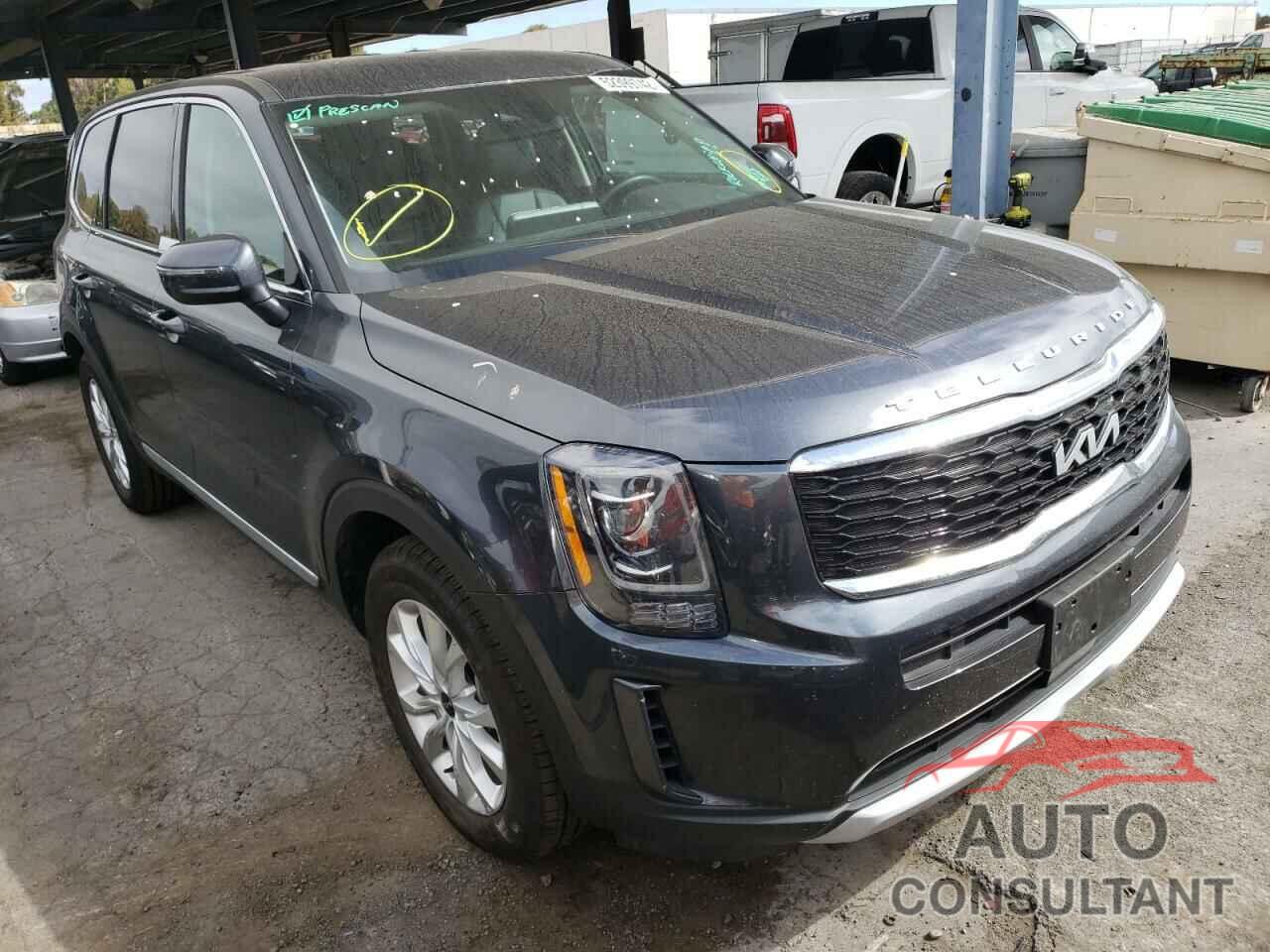 KIA TELLURIDE 2022 - 5XYP2DHC7NG214810