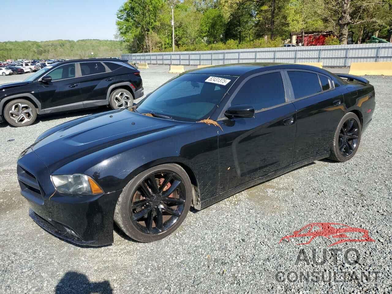 DODGE CHARGER 2014 - 2C3CDXAT2EH186067