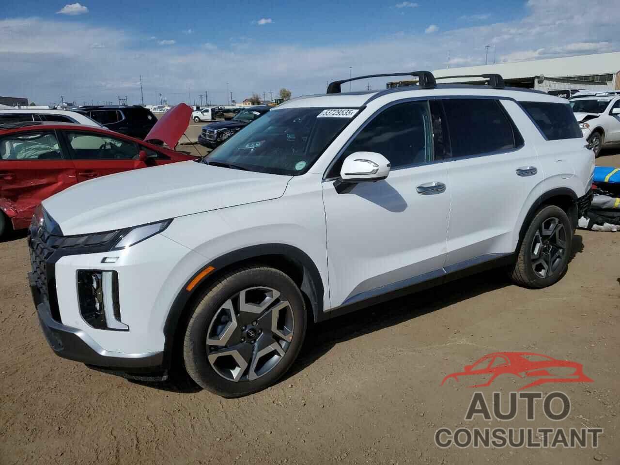 HYUNDAI PALISADE 2025 - KM8R4DGE0SU875011