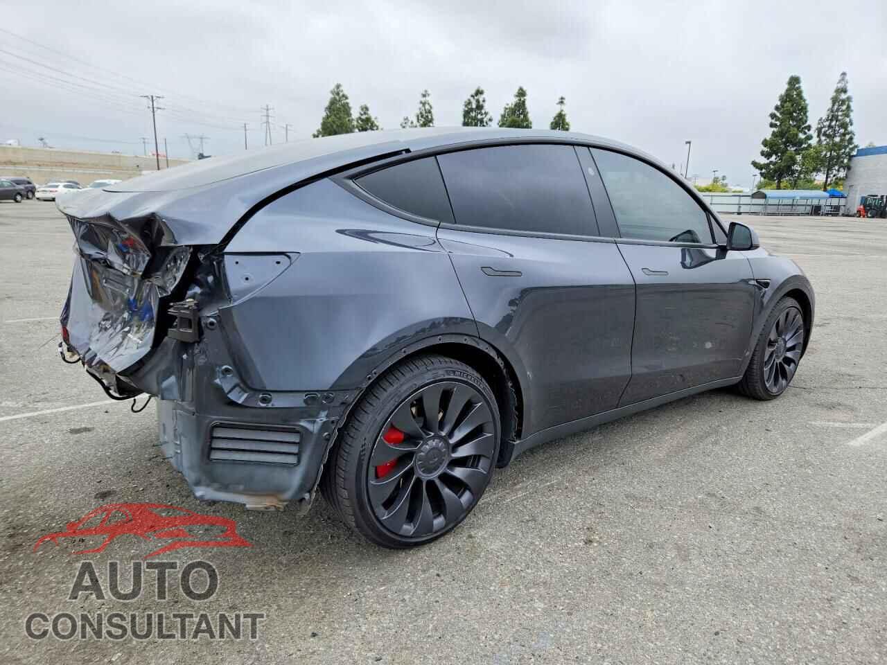 TESLA MODEL Y 2024 - 7SAYGDEF3RF024491