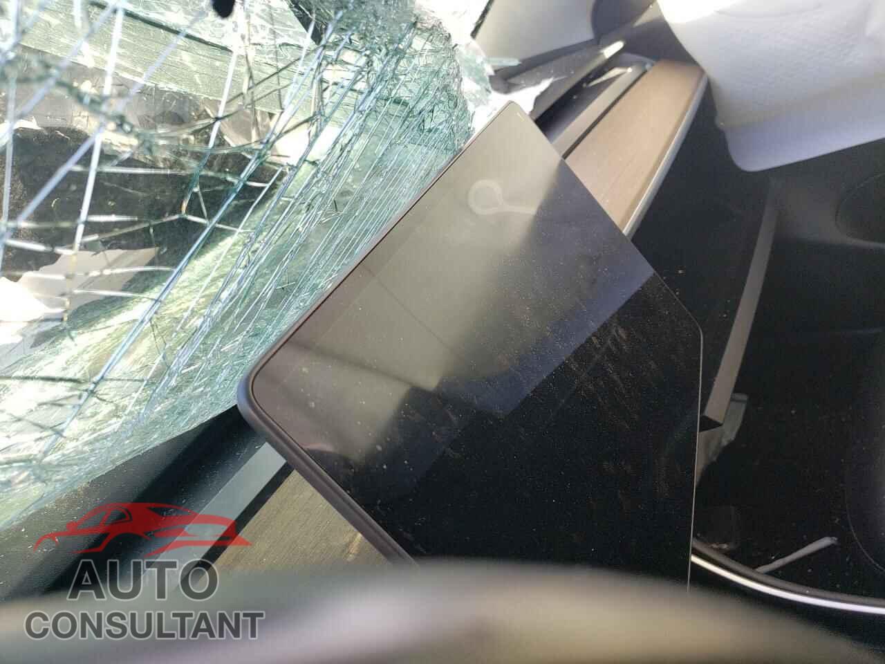 TESLA MODEL 3 2019 - 5YJ3E1EA1KF300916