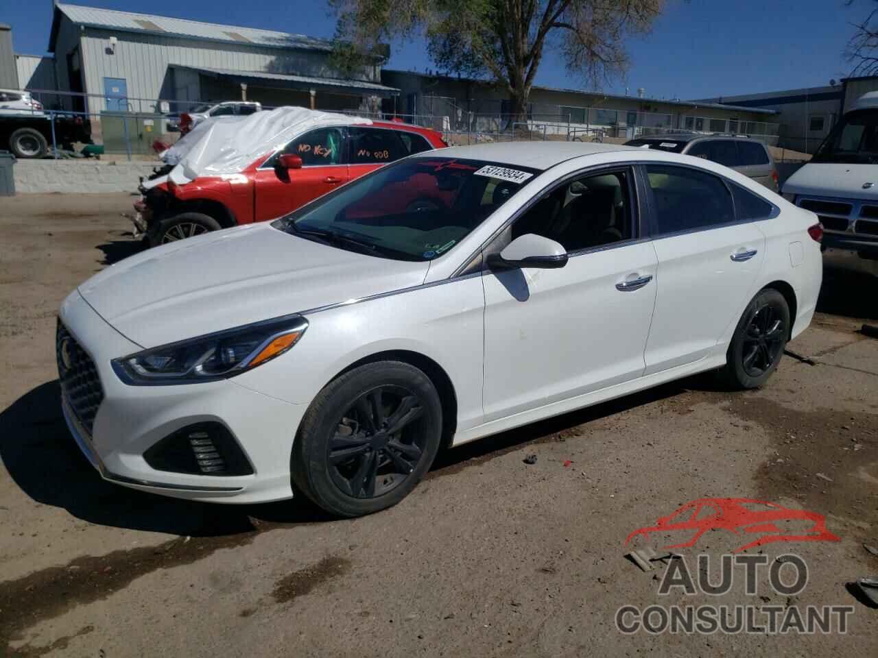 HYUNDAI SONATA 2019 - 5NPE34AF4KH817484