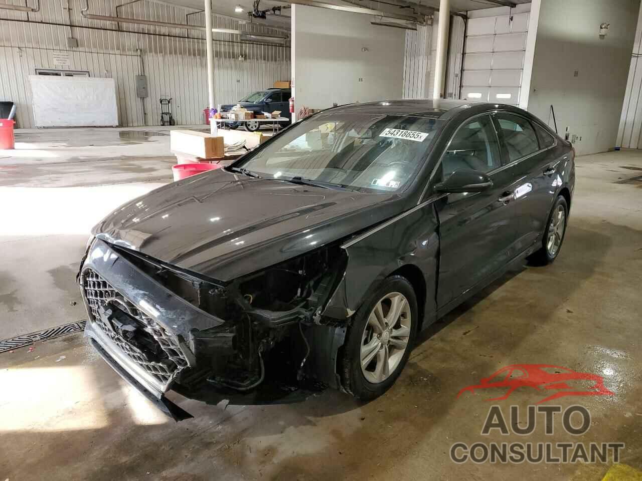 HYUNDAI SONATA 2019 - 5NPE34AF8KH735760