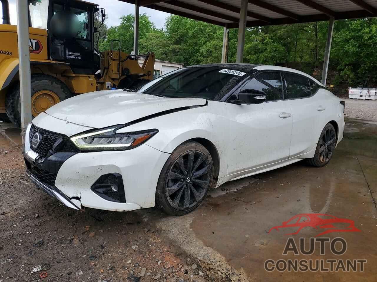 NISSAN MAXIMA 2019 - 1N4AA6AV9KC379747