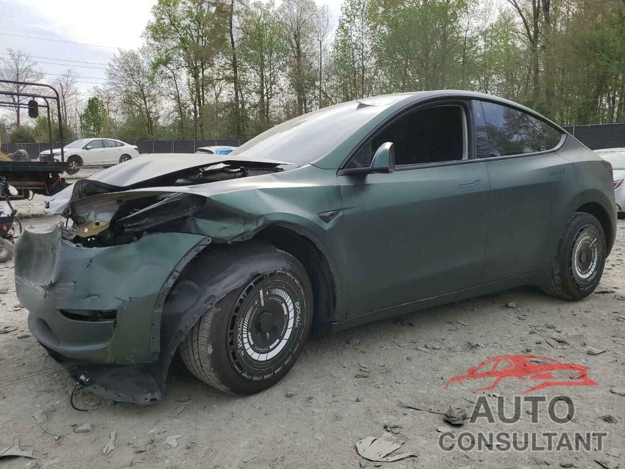 TESLA MODEL Y 2024 - 7SAYGAEEXRF987104