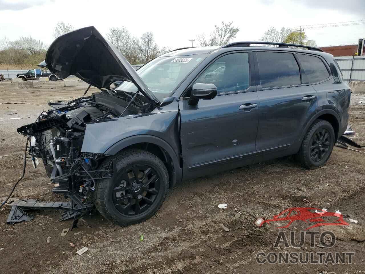KIA TELLURIDE 2024 - 5XYP5DGC6RG438035