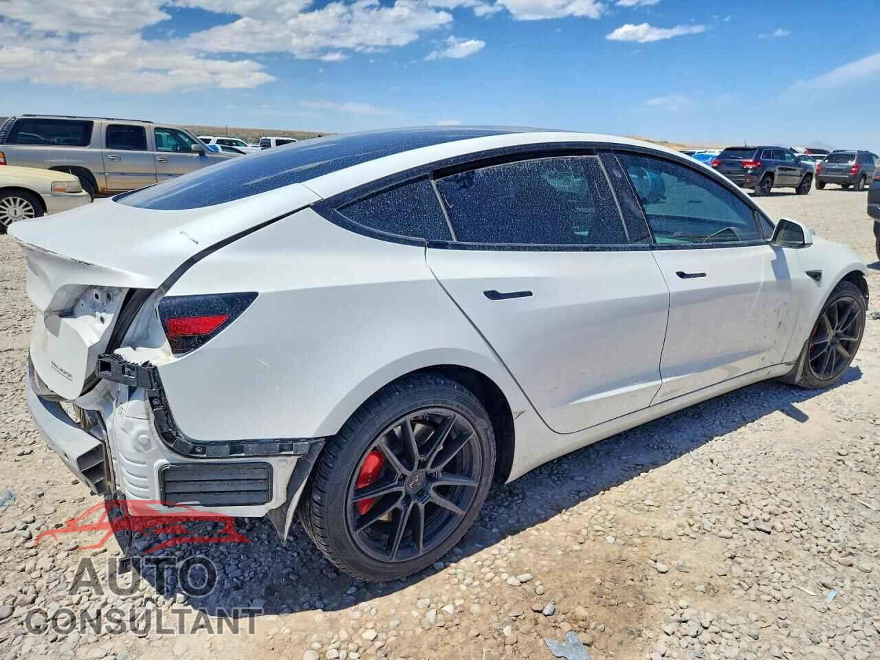 TESLA MODEL 3 2021 - 5YJ3E1EC3MF059669