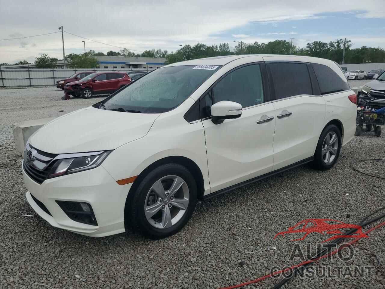 HONDA All Models 2019 - 5FNRL6H73KB067991