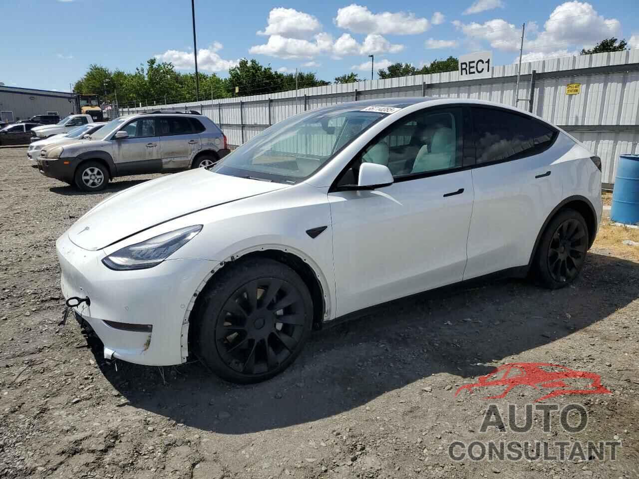 TESLA MODEL Y 2021 - 5YJYGDEE2MF173021