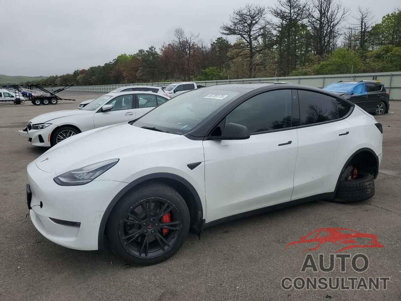 TESLA MODEL Y 2022 - 7SAYGAEE1NF518364