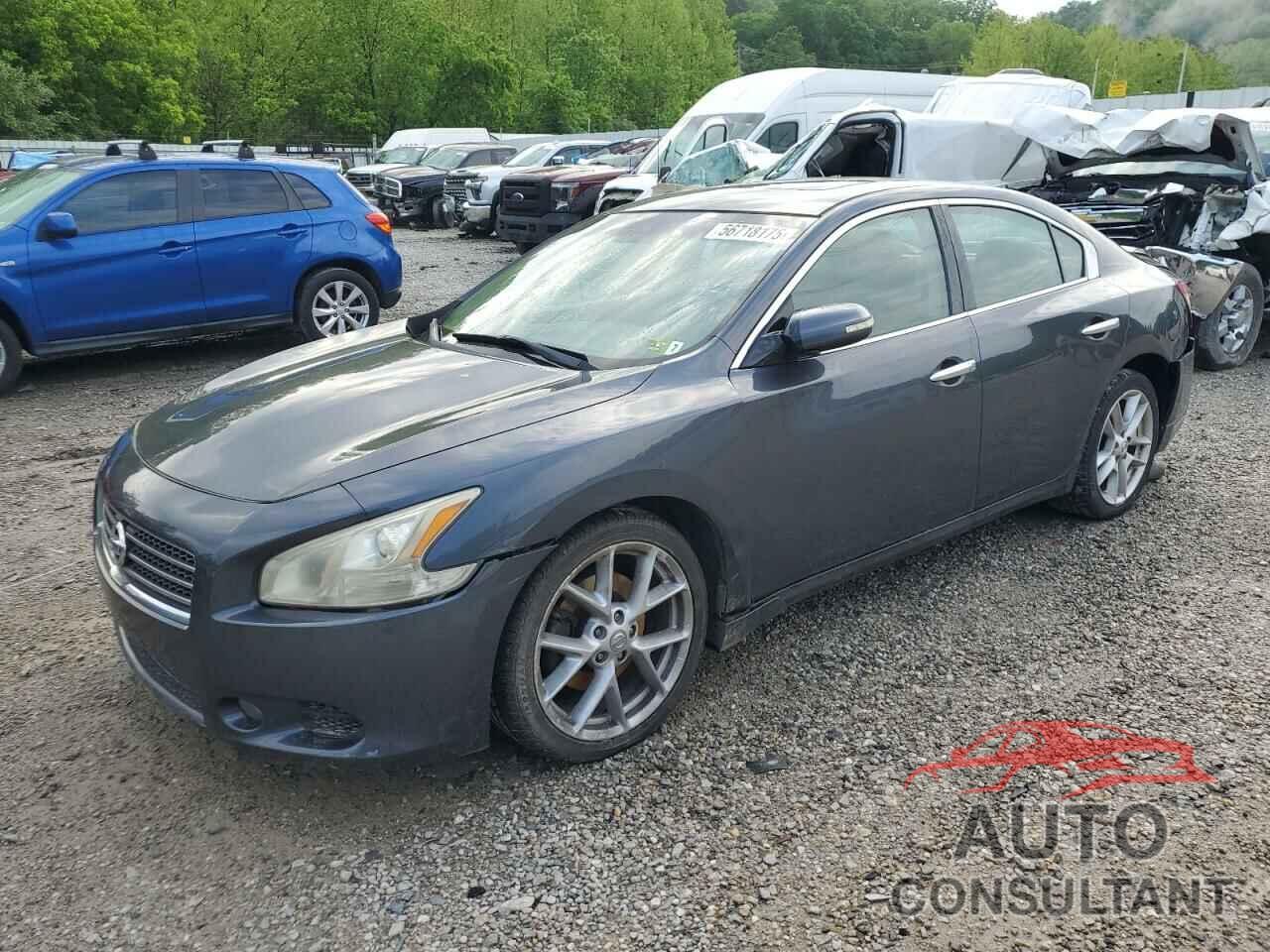 NISSAN MAXIMA 2010 - 1N4AA5AP0AC865163