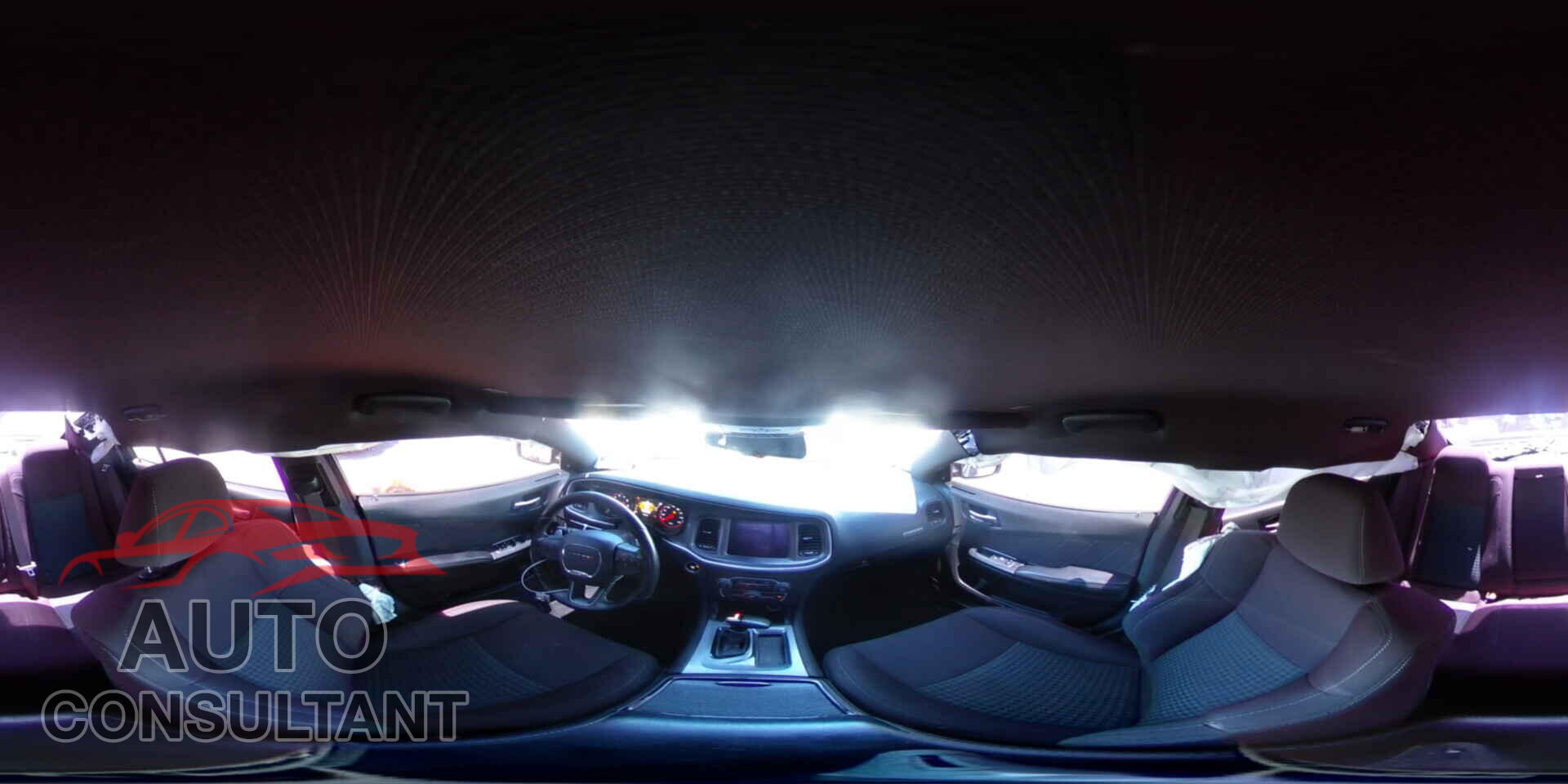 DODGE CHARGER 2019 - 2C3CDXCTXKH636699