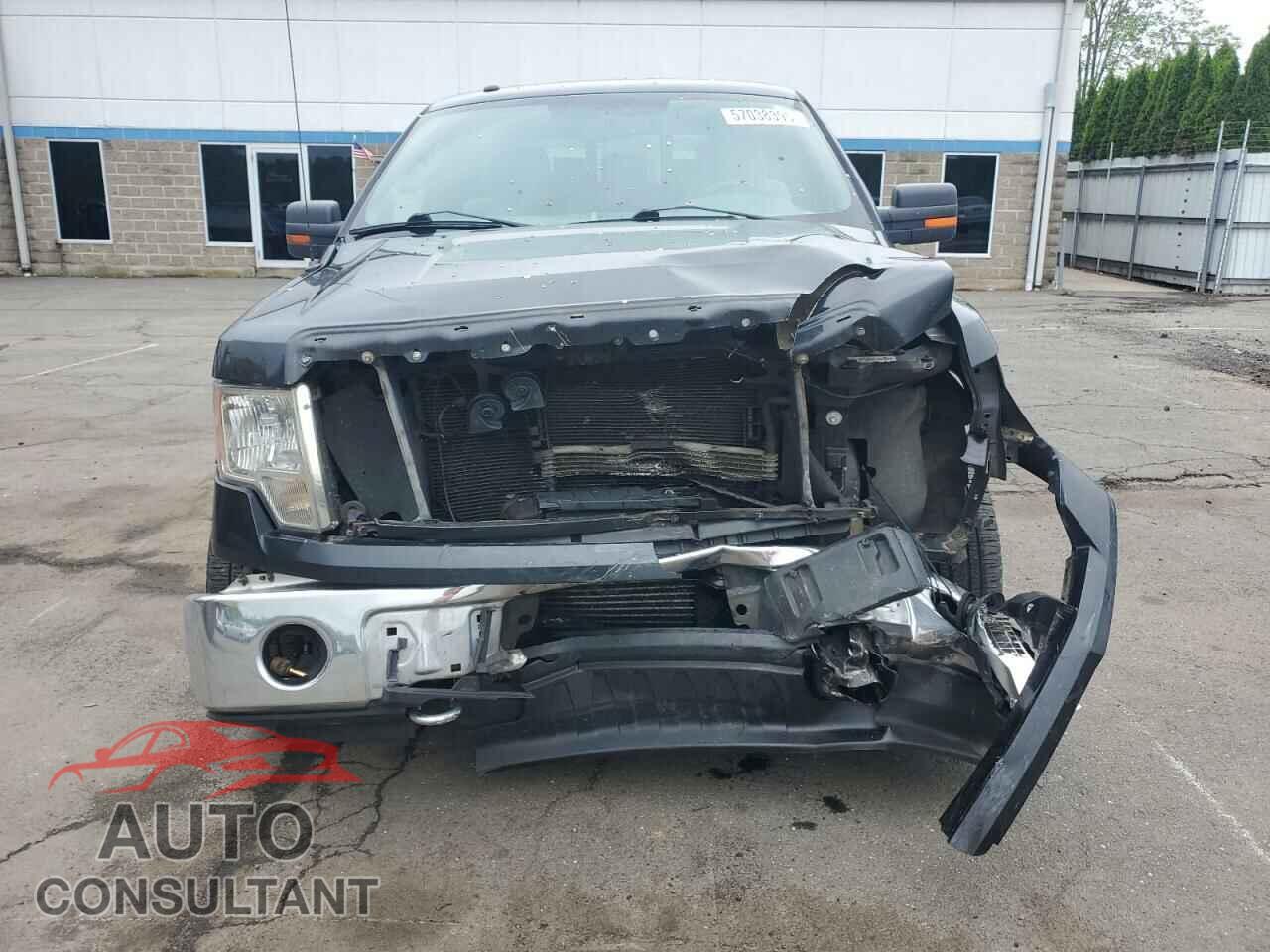FORD F-150 2013 - 1FTFX1ET2DFD60985